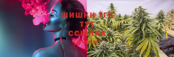 соль курить ск Алзамай
