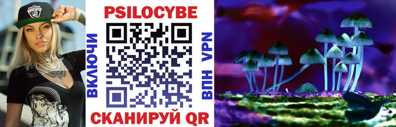Псилоцибиновые грибы Cubensis закладка Суджа